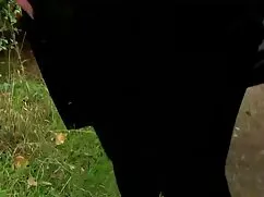 A végén őrült volt,  ...