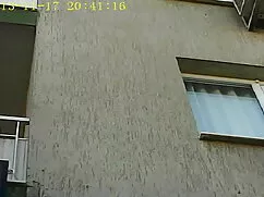 Egy önkéntes zsarnok ...