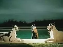 Taknyos Altynajak el ...