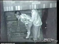 Pornó videó két kuty ...